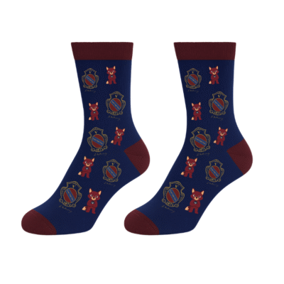 Skarpetki V LO Kraków