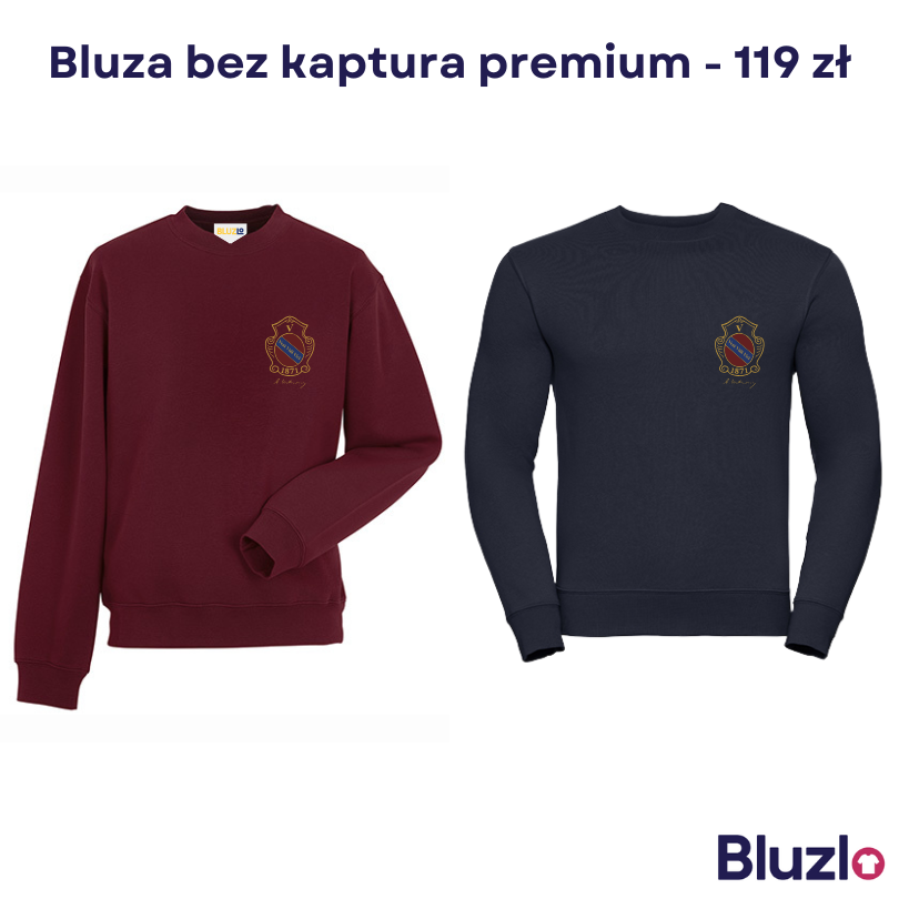 Bluza bez kaptura V LO Kraków - obrazek 5