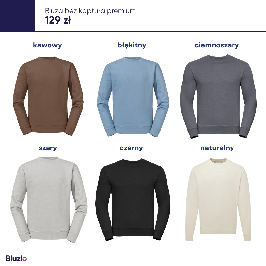 Bluza bez kaptura premium produkty basic - obrazek 4