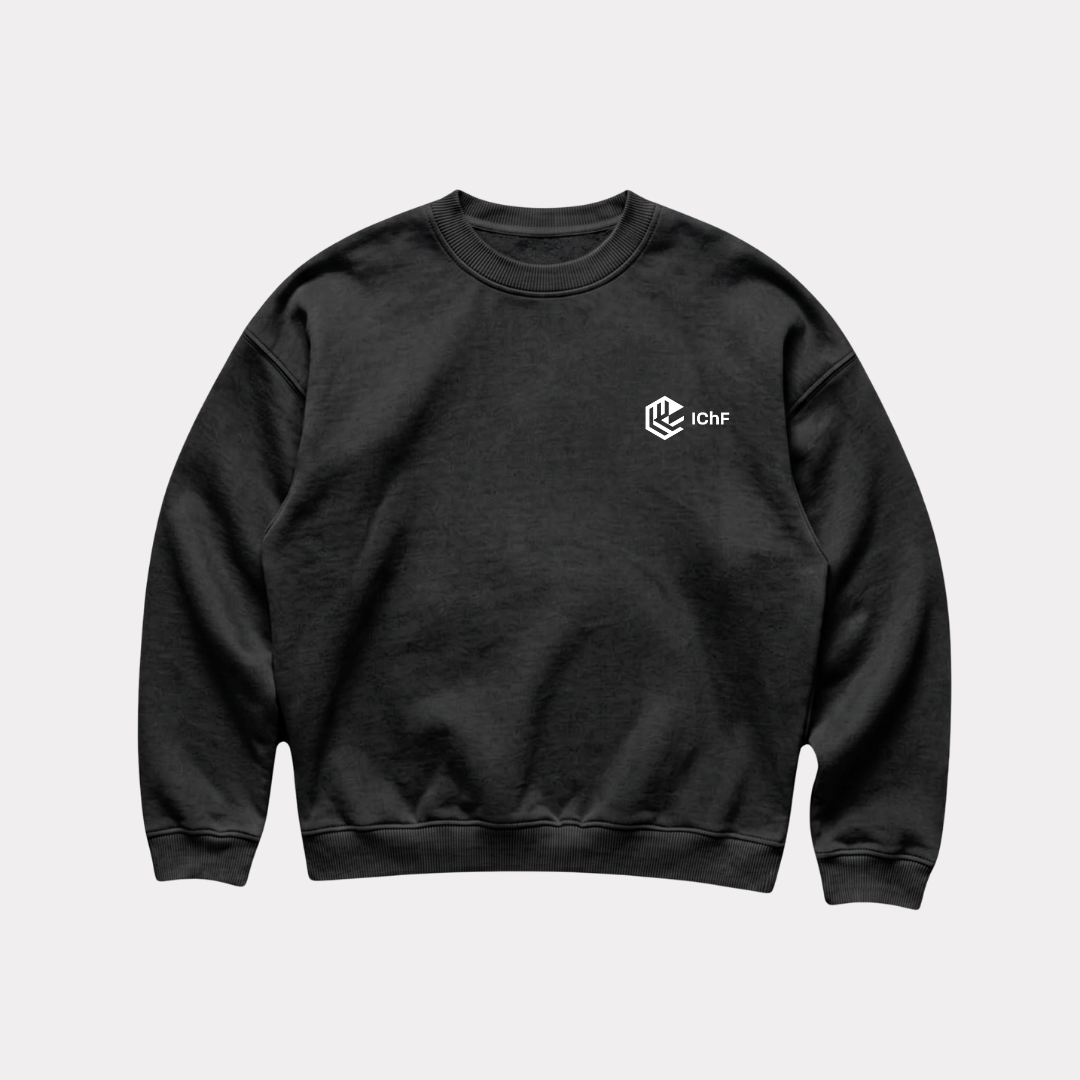 Bluza boxy bez kaptura ICHF PAN Warszawa - obrazek 8