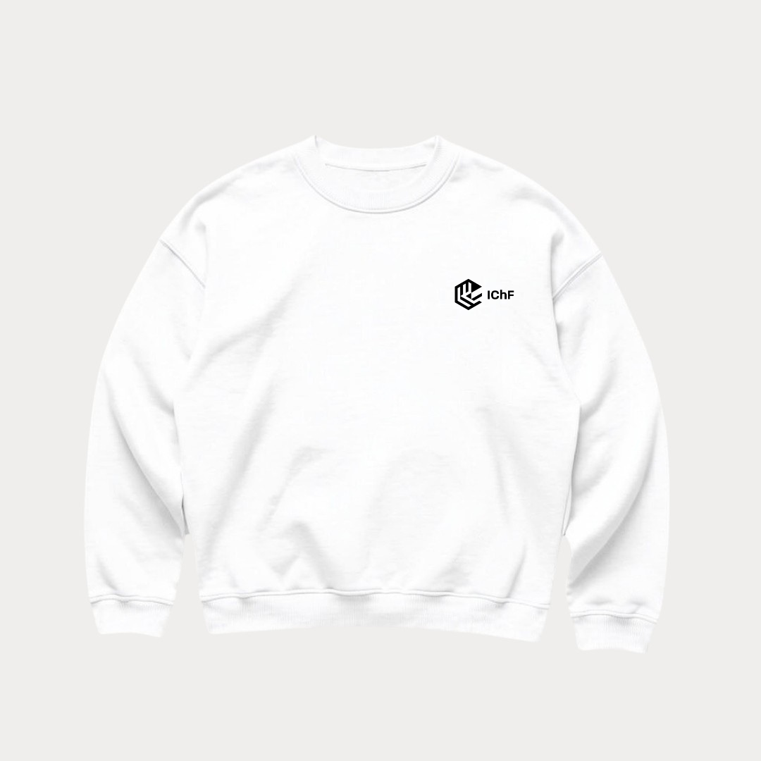 Bluza boxy bez kaptura ICHF PAN Warszawa - obrazek 3